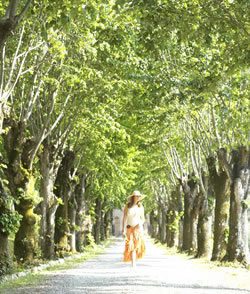 walking in the grounds of Borgo di Colleoli, Tuscany