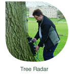 Tree Radar