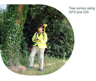 Tree survey using GPS and GIS