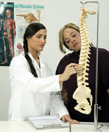 Chiropractor explaining the spine to a patient