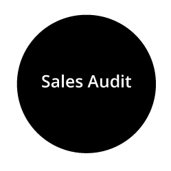 Sales Audit