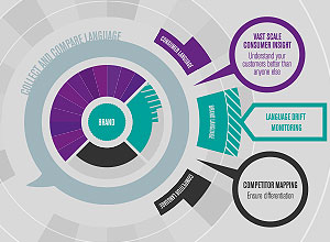 Relative Insight Case Study