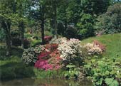 High Beeches Gardens