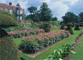 Hinton Ampner Garden