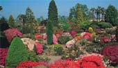 Leonardslee Gardens