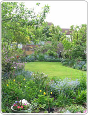 Hove Guest House Garden - Click for a larger image