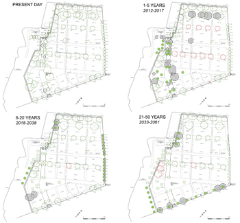 Tree Management Plan