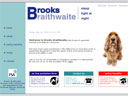 Brooks Braithewaite