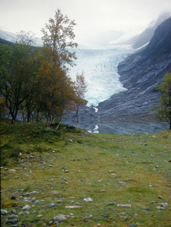 Svartisen Glacier