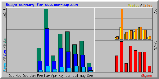 Usage summary for www.som-cap.com