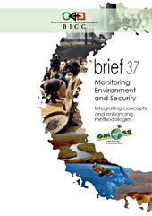 BICC brief 37: Monitoring Environment and Security