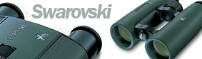 swarovski-banner