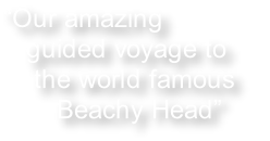 “Our amazing
   guided voyage to 
    the world famous 
       Beachy Head”
