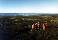 Environmental Studies on the North York Moors